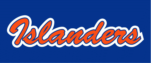 New York Islanders 2008-2017 Wordmark Logo fabric transfer